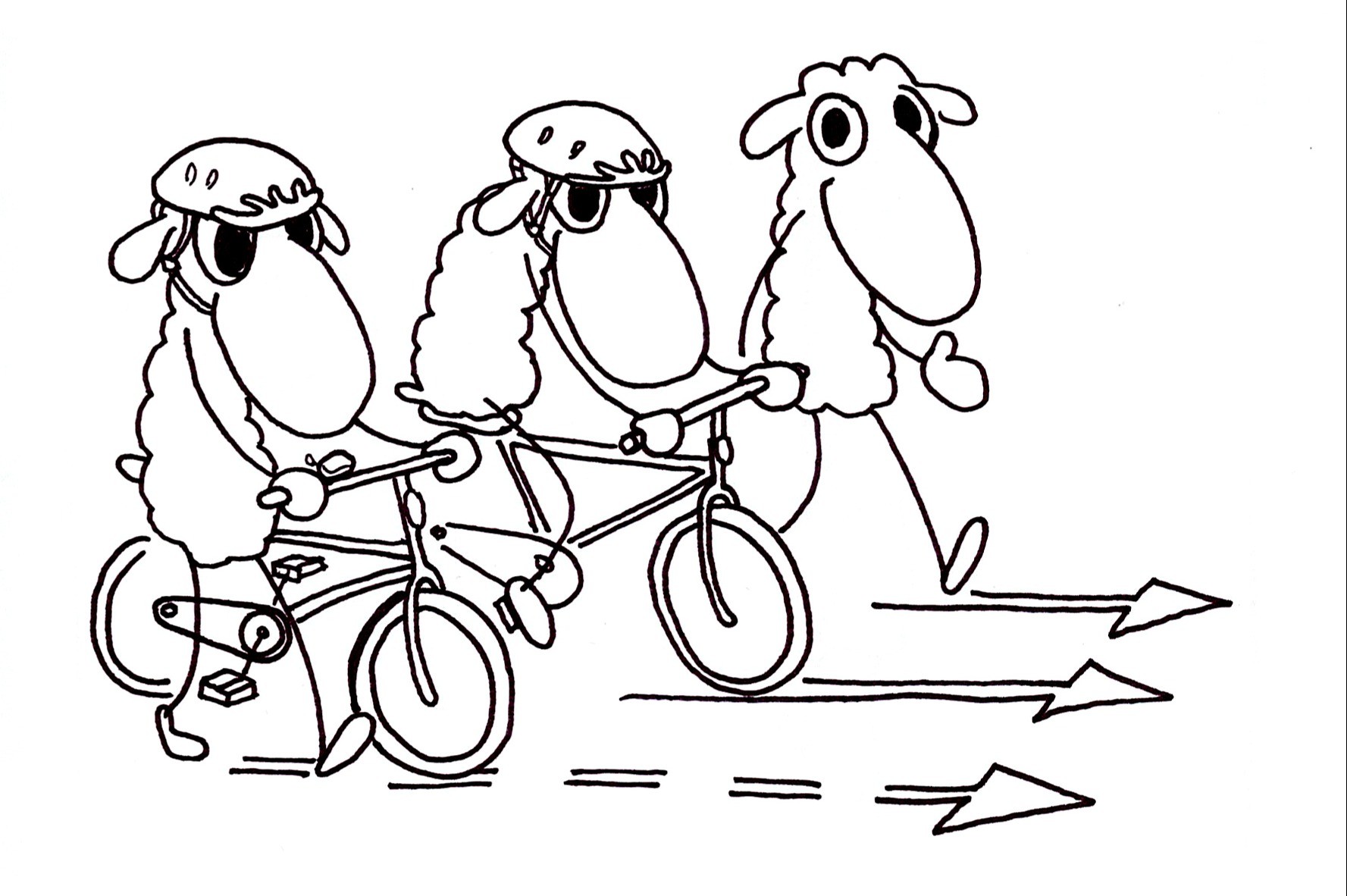 Lampaat polkupyörillä