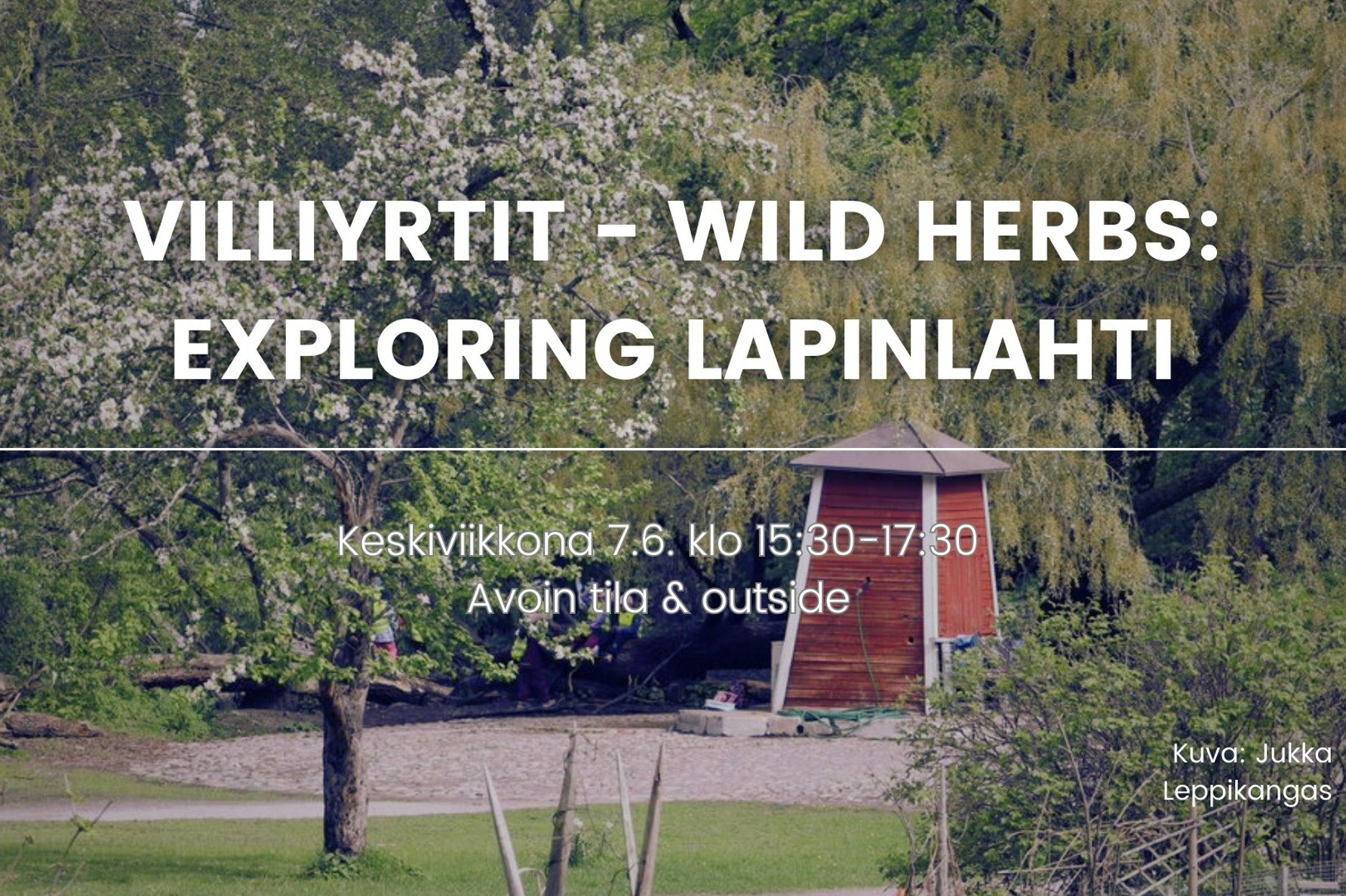 Linkki tapahtumaan Villiyrtit – Wild Herbs: Exploring Lapinlahti