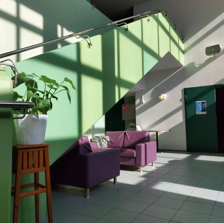 Pihliksen nuorisotalon aurinkoisesta aulasta kuva, missä näkyy sohvia, viherkasvi ja liikuntasalin ovi.